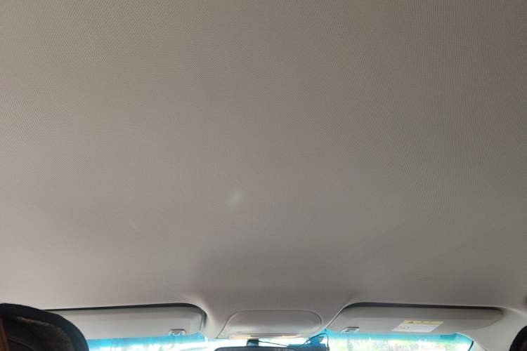 Used Chevrolet Monza 2020 Light Hybrid Redline 320T Dual-Clutch Joyful Edition Headliner