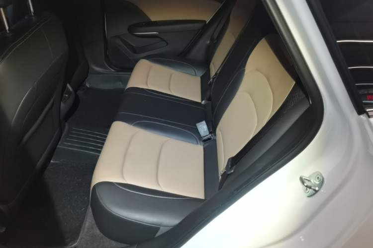Used Chevrolet Monza 2020 320 Automatic Enjoyment Edition Left Rear Seat