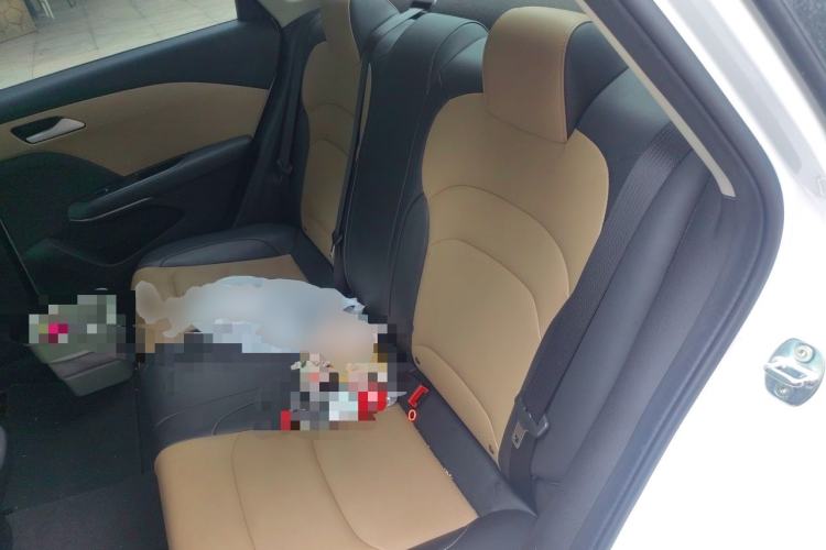 Used Chevrolet Monza 2020 320 Automatic Enjoyment Edition Left Rear Seat