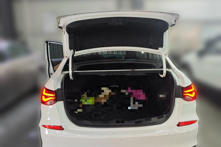 Used Chevrolet Monza 2020 320 Automatic Enjoyment Edition Trunk