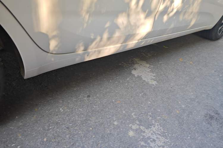 Used Chevrolet Monza 2022 Light Hybrid RS 330T Automatic Comfort Edition Right Side Sill