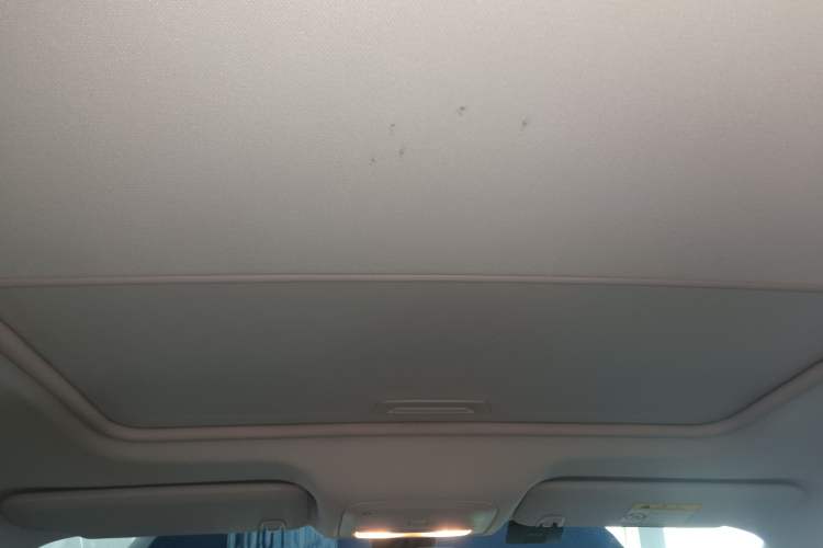 Used Chevrolet Monza 2023 1.5L Dual-Clutch Enjoyment Edition Headliner