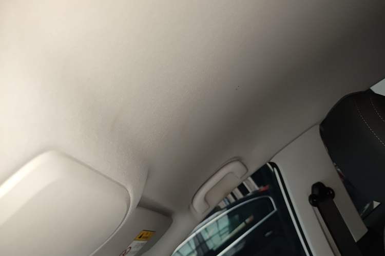 Used Chevrolet Monza 2023 1.5L Dual-Clutch Enjoyment Edition Headliner