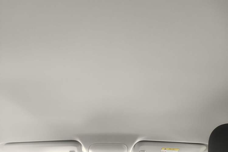 Used Chevrolet Monza 2023 1.5L Dual-Clutch Enjoyment Edition Headliner