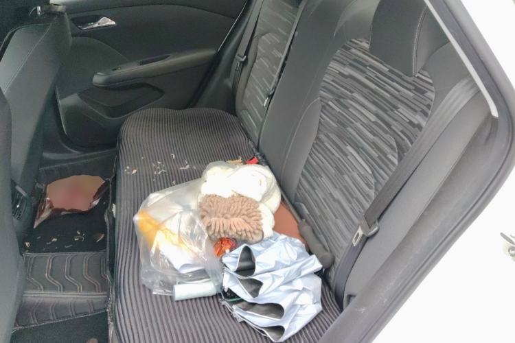 Used Chevrolet Monza 2023 1.5L Dual-Clutch Enjoyment Edition Left Rear Seat