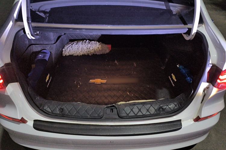 Used Chevrolet Monza 2023 1.3T Mild Hybrid Automatic Luxury Edition Trunk