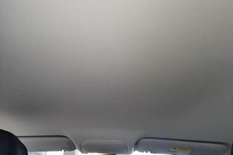 Used Chevrolet Monza 2024 1.5L Dual-Clutch Enjoyment Edition Headliner