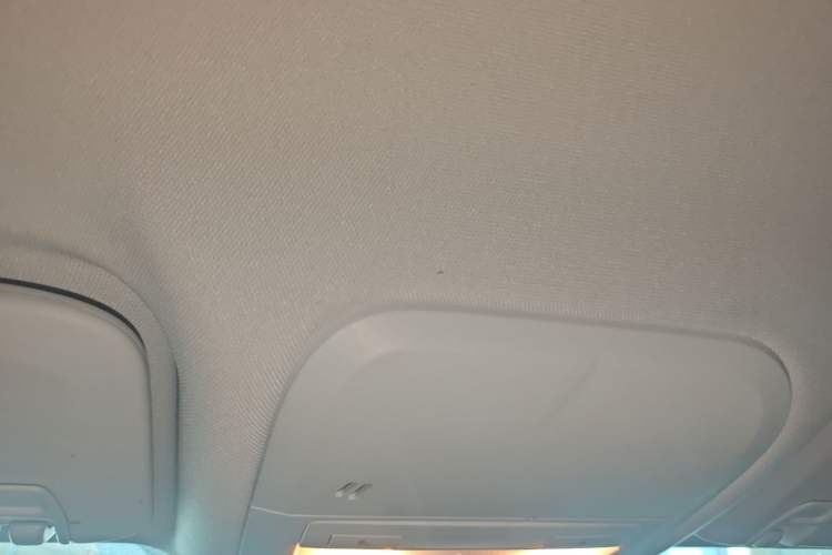 Used Chevrolet Monza 2024 1.5L Dual-Clutch Enjoyment Edition Headliner