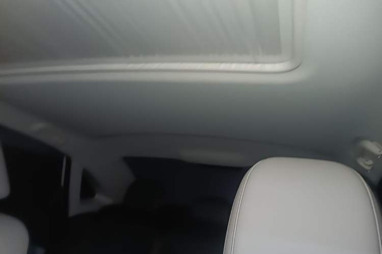 Used Chevrolet Monza 2024 1.5L Dual-Clutch Enjoyment Edition Headliner