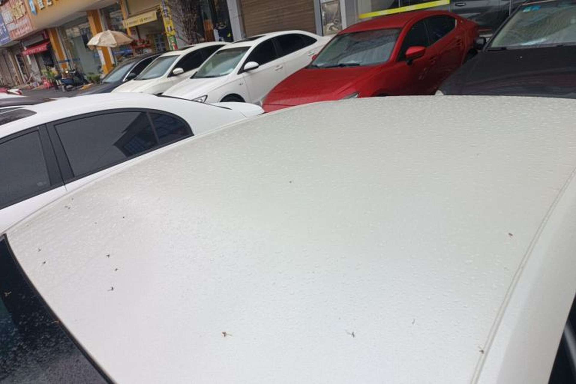 Used Chevrolet Monza 2024 1.5L Dual-Clutch Enjoyment Edition Roof