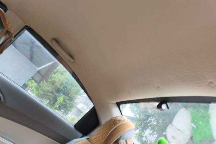 Used Chevrolet Sail 2010 Sedan 1.2L Manual Fashion Edition Headliner
