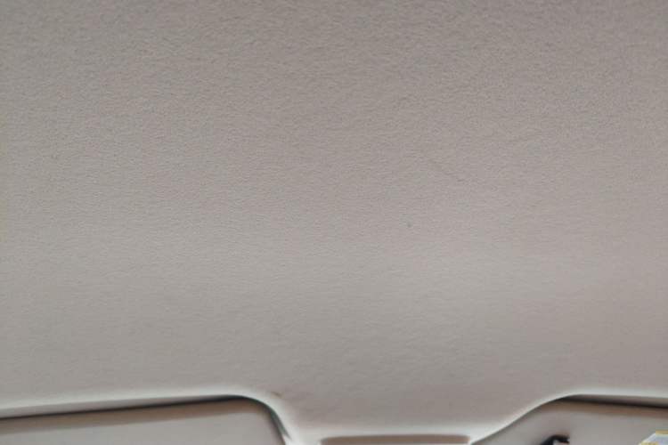 Used Chevrolet Sail 2010 Sedan 1.2L Manual Warm Edition Headliner