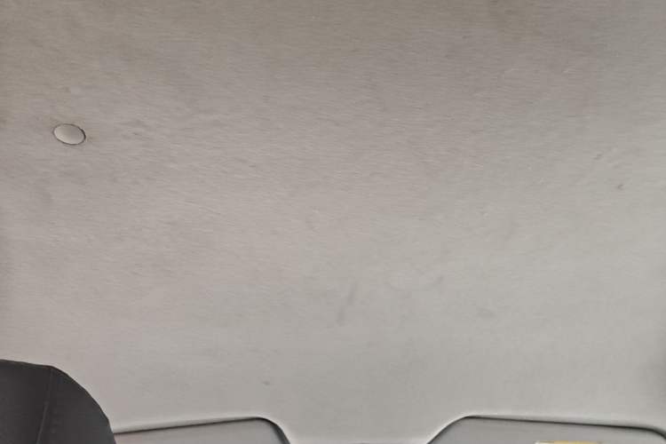 Used Chevrolet Sail 2010 Sedan 1.2L Manual Warm Edition Headliner