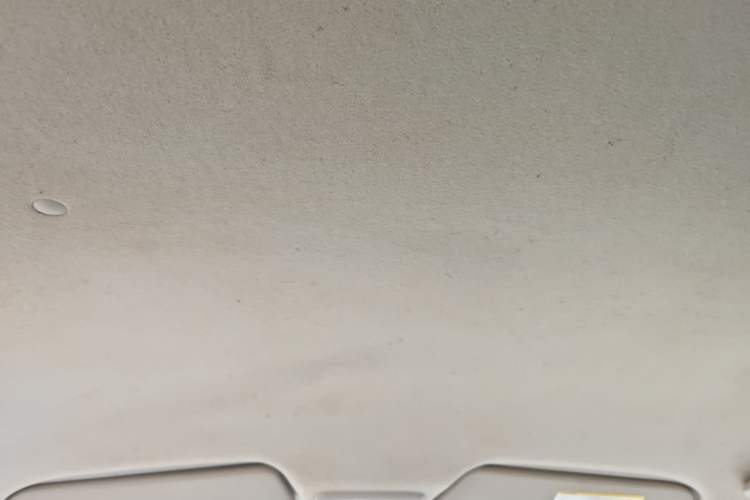Used Chevrolet Sail 2010 Sedan 1.2L Manual Warm Edition Headliner