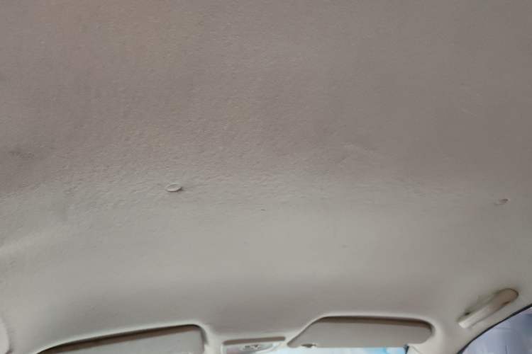 Used Chevrolet Sail 2010 Sedan 1.2L Manual Fashion Edition Headliner