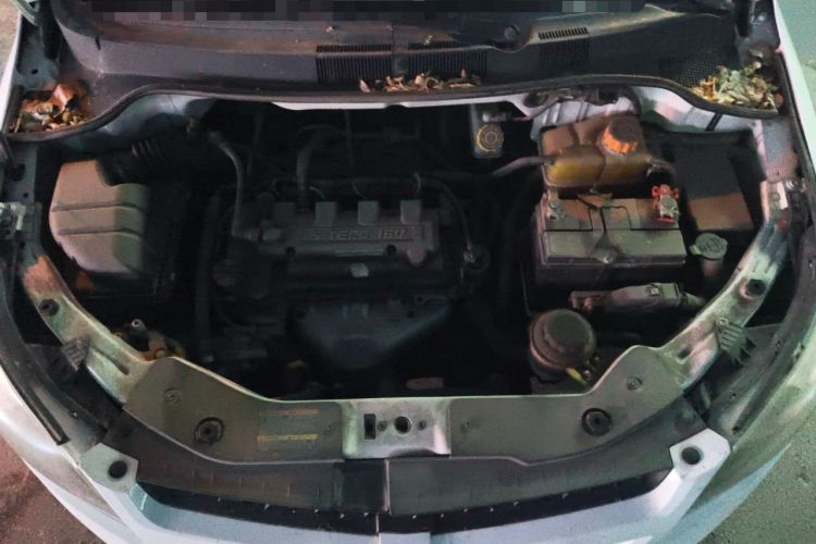 Used Chevrolet Sail 2013 Sedan 1.4L AMT Enjoy Edition Engine Bay