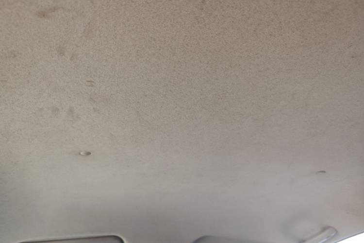 Used Chevrolet Sail 2013 Sedan 1.2L Manual Fashionable Happiness Edition Headliner