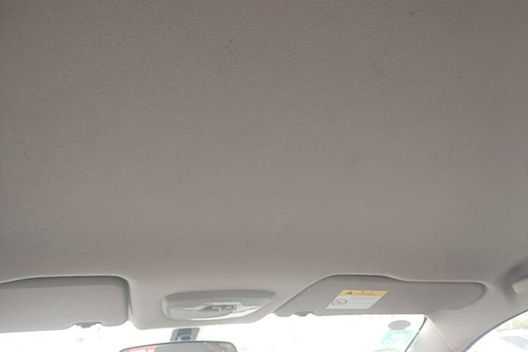 Used Chevrolet Sail 2018 Sail 3 1.3L AMT Ideal Edition Headliner