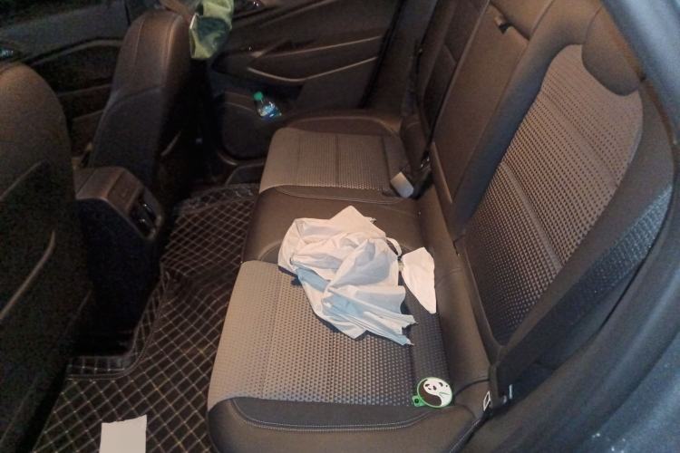 Used Chevrolet Seeker 2022 1.5T CVT Trendy Smart Edition Left Rear Seat