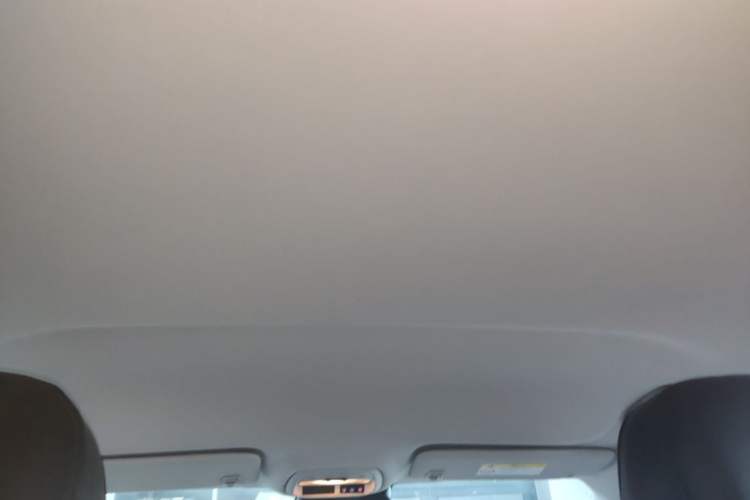 Used Chevrolet Seeker 2022 1.5T CVT Trendy Smart Edition Headliner