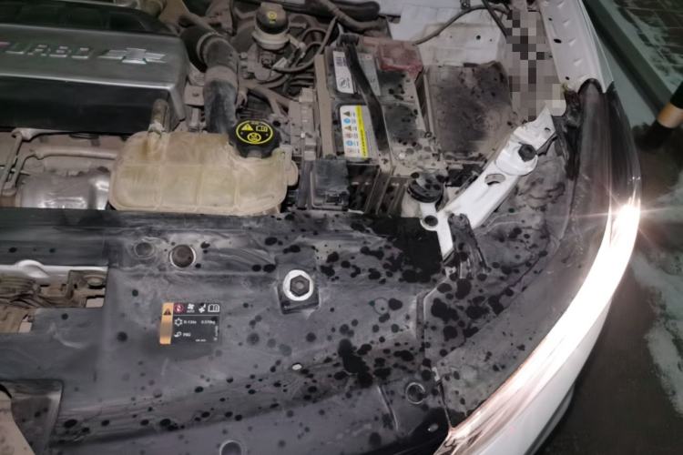 Used Chevrolet Trax 2018 330T Automatic Two-Wheel Drive Elite Model Engine Bay Left