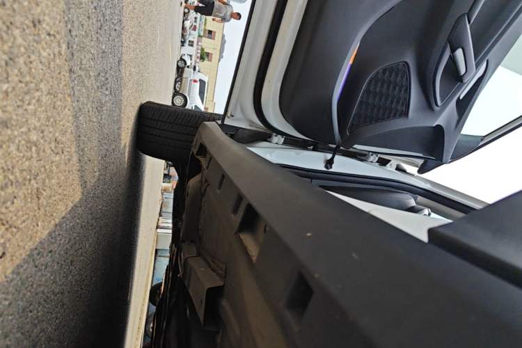Used Chevrolet Trax 2019 Redline 335T CVT Top-Tier Model China VI Standard Left Side Sill