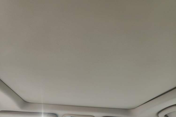 Used Chrysler 300C 2012 3.6L Luxury Edition Headliner