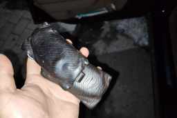 Thumbnail 9