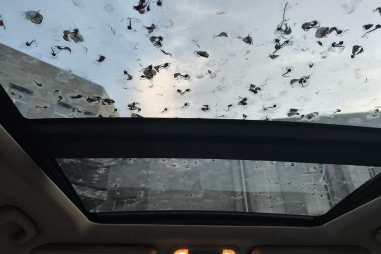 Used Chrysler 300C 2013 3.6L Premium Edition Headliner