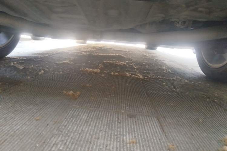 Used Chrysler 300C 2014 3.0L Excellence Edition Chassis Rear