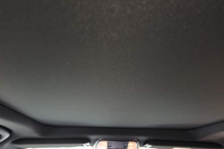 Used Chrysler 300C 2014 3.0L Excellence Edition Headliner