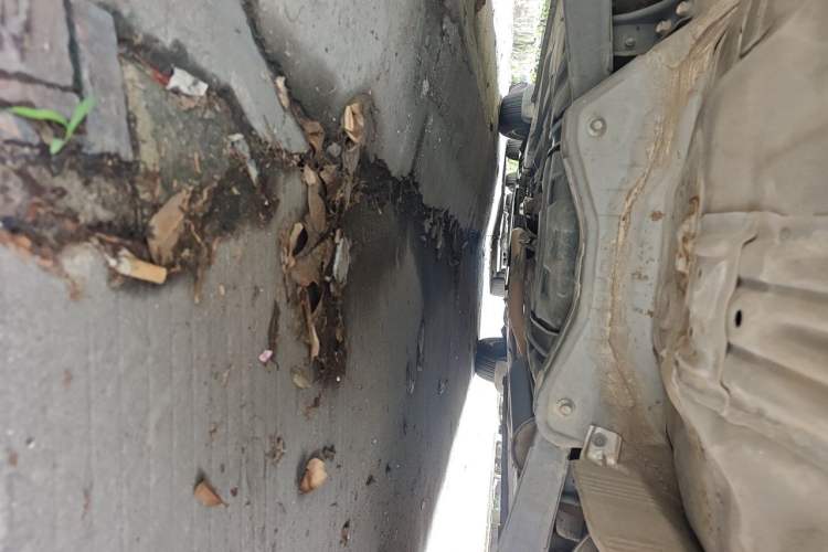 Used CIIMO 2012 1.8L Automatic Chassis Rear
