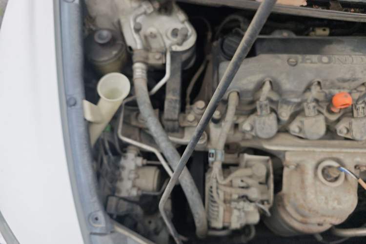 Used CIIMO 2012 1.8L Automatic Engine Bay Right