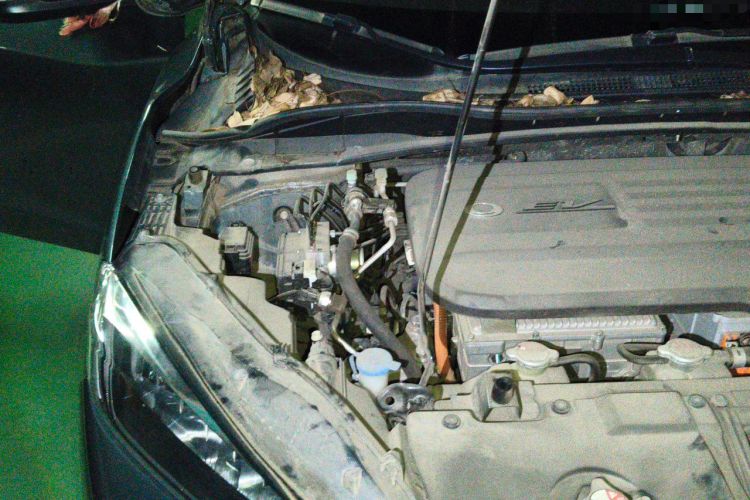 Used CIIMO M-NV 2021 Shangcheng Edition Engine Bay Right