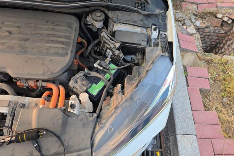Used CIIMO M-NV 2021 Shangyi Edition Engine Bay Left