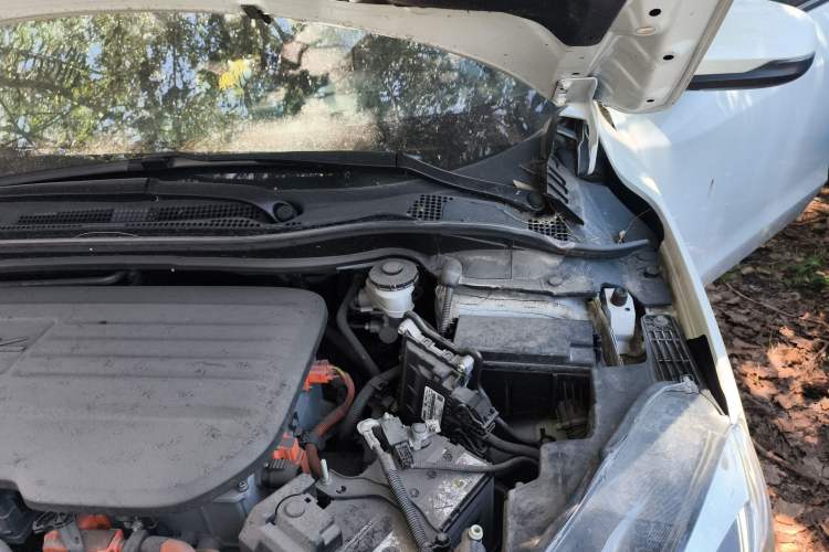 Used CIIMO M-NV 2021 Shangyi Edition Engine Bay Left