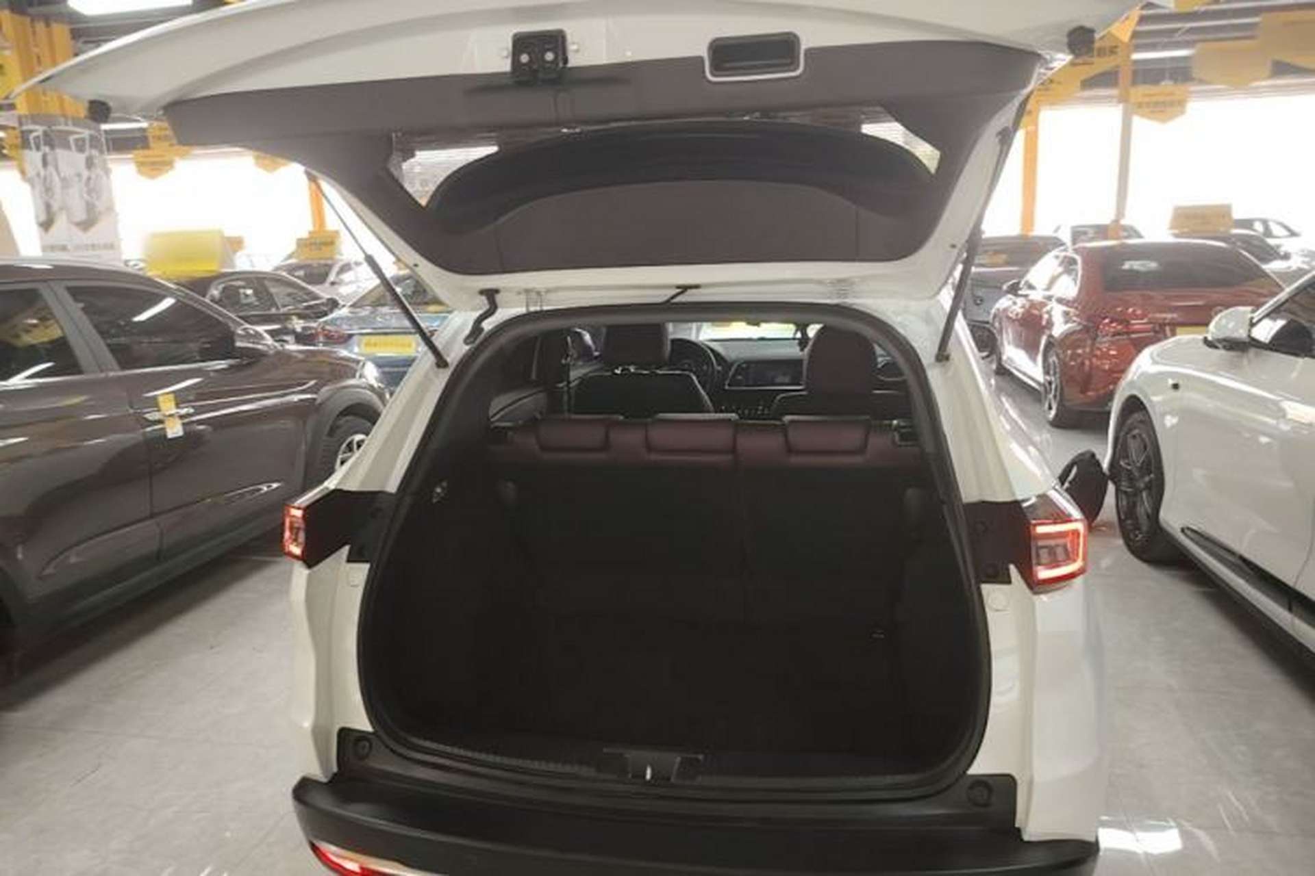 Used CIIMO M-NV 2021 Shangyi Edition Trunk