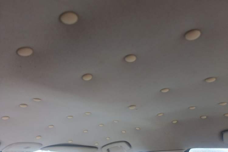 Used Citroen C-Quatre 2010 Sedan 1.6L Automatic Shangle Edition Headliner