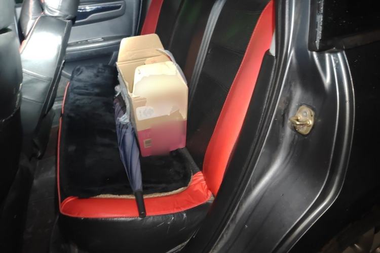Used Citroen C-Quatre 2012 Sedan 1.6L Manual Prestige Model Left Rear Seat