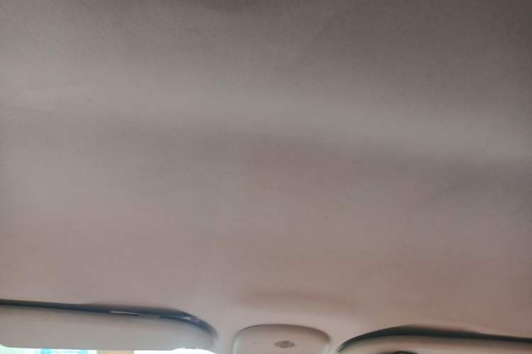 Used Citroen C-Quatre 2013 1.6L Manual Prestige CNG Model Headliner