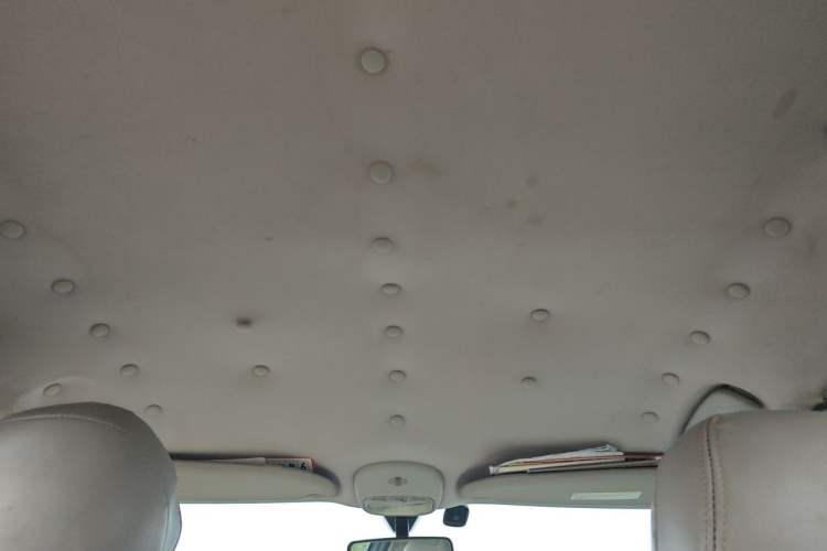 Used Citroen C-Quatre 2013 1.6L Manual Prestige CNG Model Headliner
