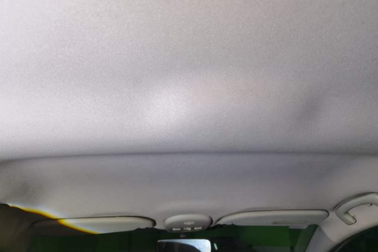 Used Citroen C-Quatre 2013 1.6L Manual Prestige CNG Model Headliner
