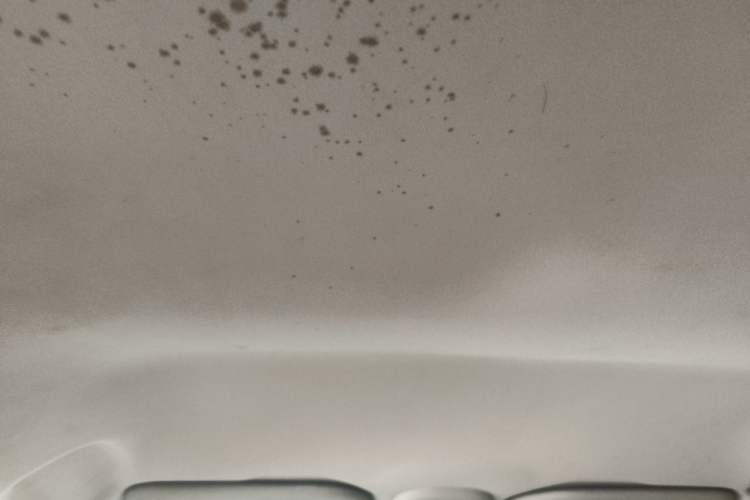 Used Citroen C-Quatre 2013 Sedan 1.6L Automatic Prestige Model Headliner