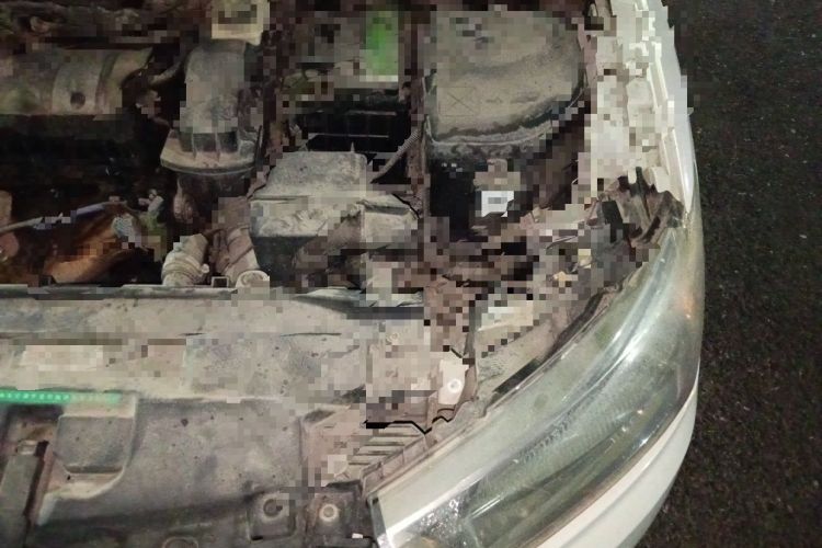 Used Citroen C-Quatre 2013 1.6L Manual Prestige CNG Model Engine Bay Left