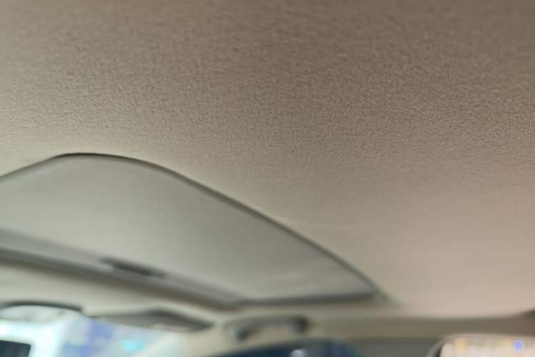 Used Citroen C-Quatre 2013 1.6L Manual Prestige CNG Model Headliner