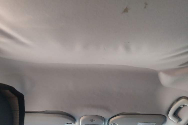 Used Citroen C-Quatre 2013 1.6L Manual Prestige CNG Model Headliner