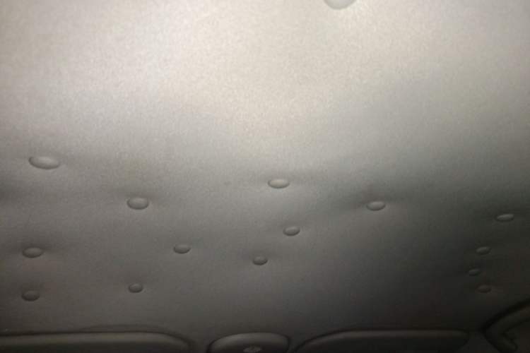Used Citroen C-Quatre 2013 1.6L Manual Prestige CNG Model Headliner
