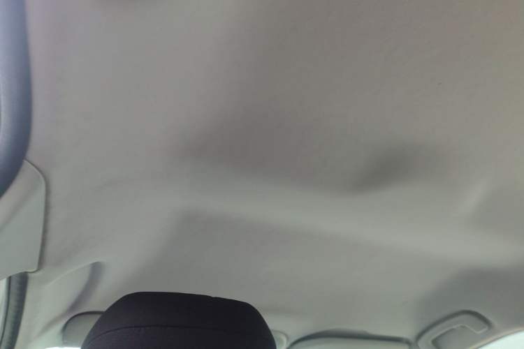 Used Citroen C-Quatre 2016 Classic Sedan 1.6L Manual CNG Headliner