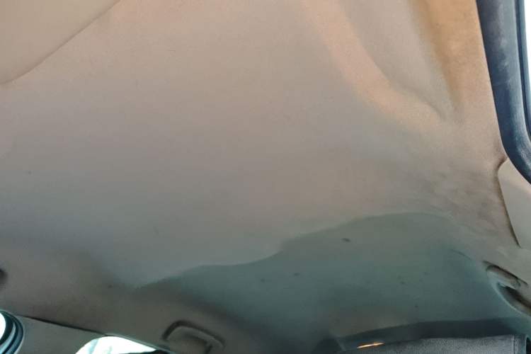 Used Citroen C-Quatre 2016 Classic Sedan 1.6L Manual CNG Headliner