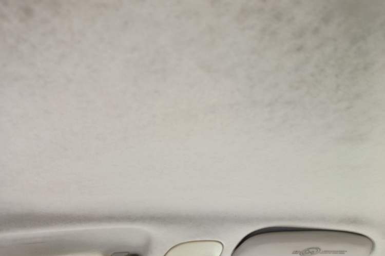 Used Citroen C2 2008 VTS 1.4L MT SX Headliner